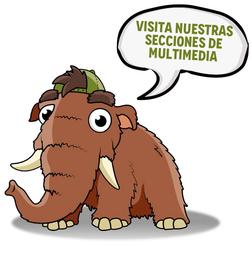 Mamut noticias